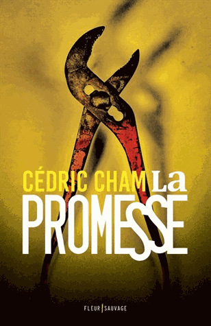 promesse_cedric_cham.gif